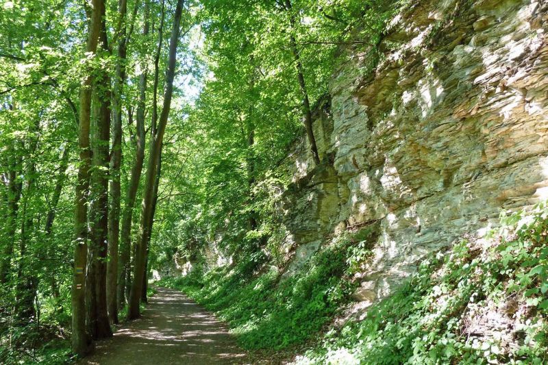 Bij Ratiborice kunt u heerlijk wandelen door de Babiččino údolí oftewel Grootmoeders vallei